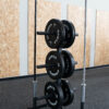 Weight plate and barbell tree